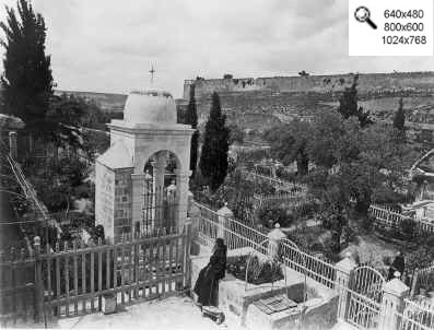 419. Jardin de Gethsemane - Felix Bonfils ca. 1876